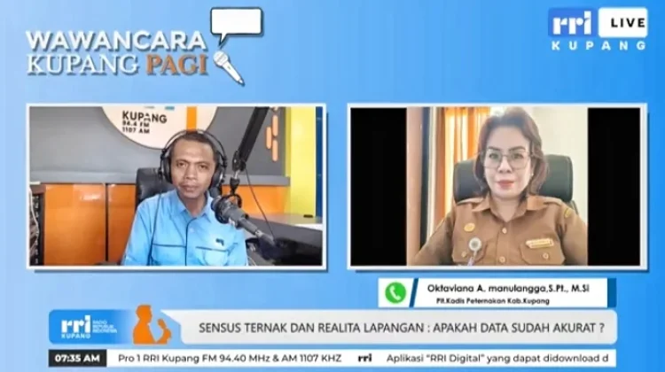 Kabupaten Kupang Perbarui Data Populasi Ternak Tahunan