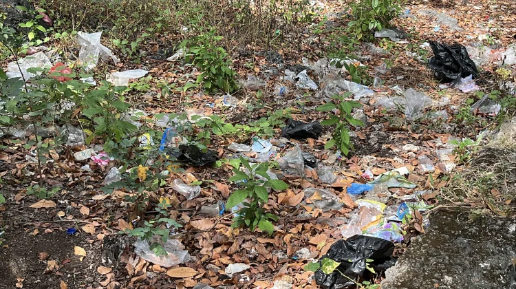 Kendaraan Pengangkut Sampah Jadi Keluhan Warga Alak Kota