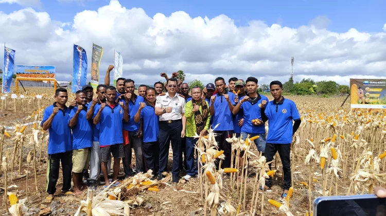 Lapas Kelas IIA Kupang Panen Raya Jagung Dukung Ketahanan Pangan Nasional