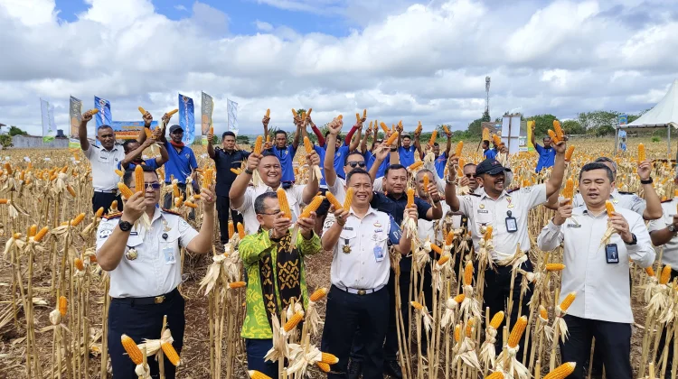 Lapas Kupang Sulap Lahan Batu Karang Jadi Simbol Ketahanan Pangan NTT