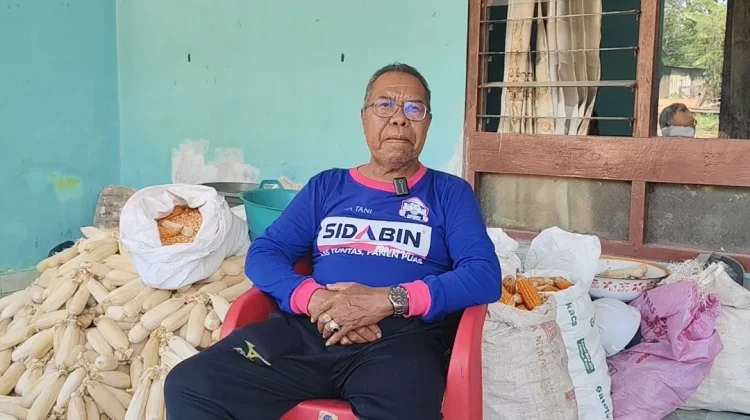 Kelompok Tani Penaf Nasipanaf Hadapi Tantangan Air dan Pencurian