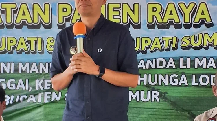 Wakil Bupati Sumba Timur Hadiri Panen Raya Padi Sawah di desa Palanggai
