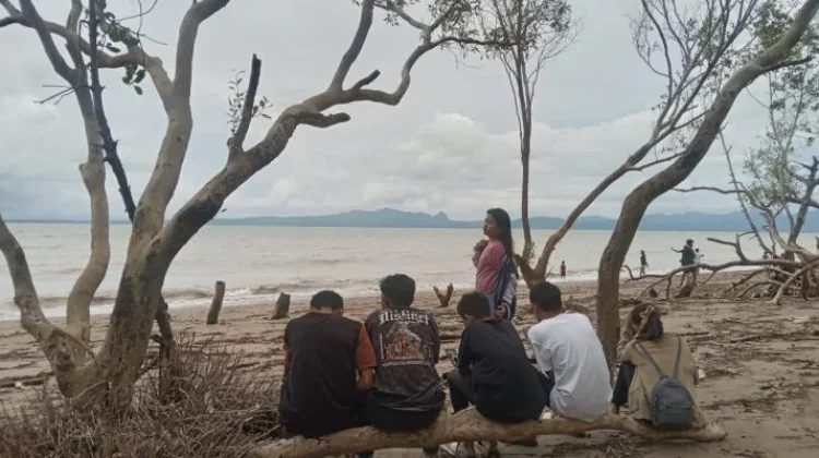 Keasrian Pantai Kelapa Tinggi Tawarkan Wisata Alam Menenangkan