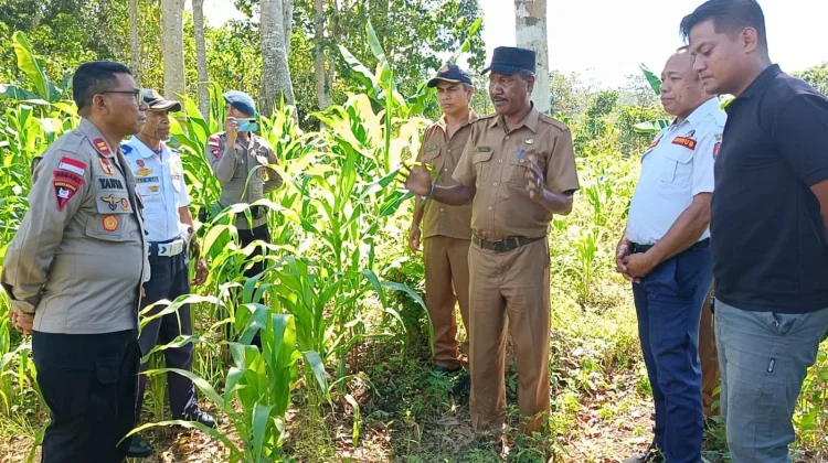 Bupati Sumba Barat Bahas Hibah Tanah Pembangunan Markas