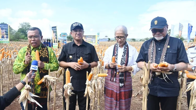 Lapas Kupang Sulap Lahan Tandus Jadi Kebun Produktif