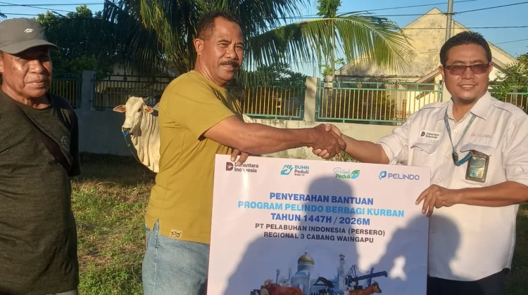 PT Pelindo Waingapu Salurkan Empat Sapi Kurban untuk Masyarakat Sekitar