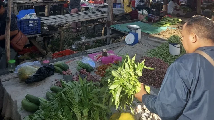 Sensus Ekonomi 2026 Dukung Pengembangan UMKM dan Ekonomi Rote Ndao