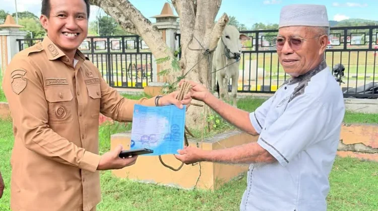 Pemkab SBD Salurkan Empat Hewan Kurban Perayaan Idul Adha