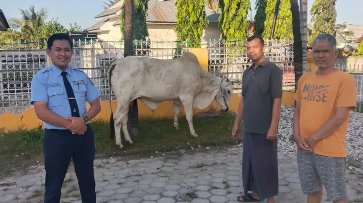 PT DLU Waingapu Salurkan Hewan Kurban bagi Masyarakat dan Masjid
