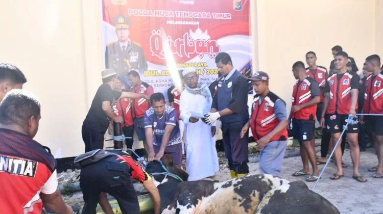 Kapolda NTT Pimpin Pemotongan Hewan Kurban Idul Adha 1447 H
