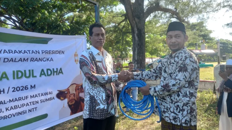 Penyerahan Hewan Kurban Perkuat Solidaritas Umat Islam Sumba Timur