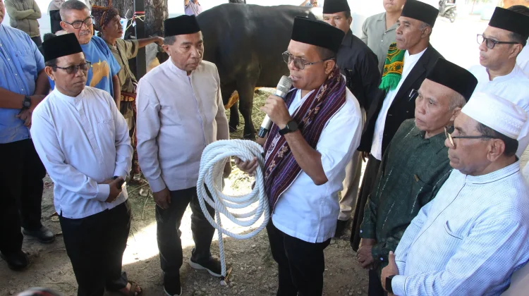 Gubernur Melki Sebut Bantuan Sapi Kurban Presiden Prabowo Perkuat Persatuan NTT