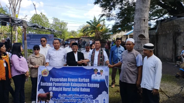 Pemkab Kupang Serahkan Sapi Kurban di Masjid Nurul Jadid