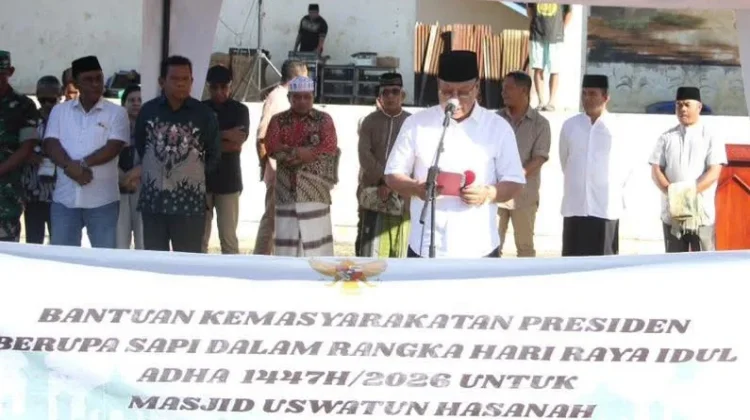 Iduladha 1447 H, Sumba Barat Terima Bantuan Sapi Kurban