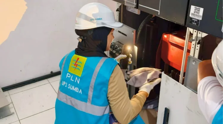 Pastikan Idul Adha Lancar, PLN Perkuat Pasokan Listrik Andal di Waingapu