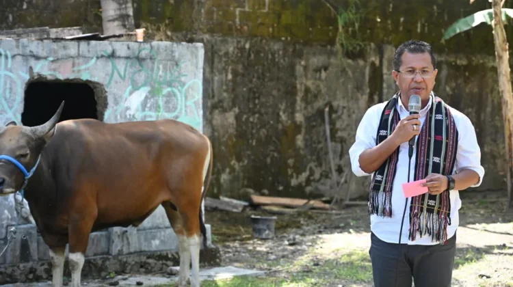 Program Keagamaan Konsisten Berjalan, Bupati Kupang Serahkan Empat Hewan Kurban