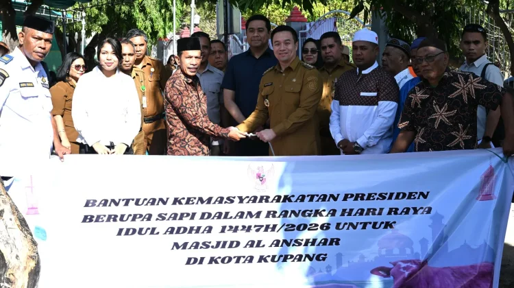 Christian Widodo Serahkan Hewan Kurban untuk Warga Kupang