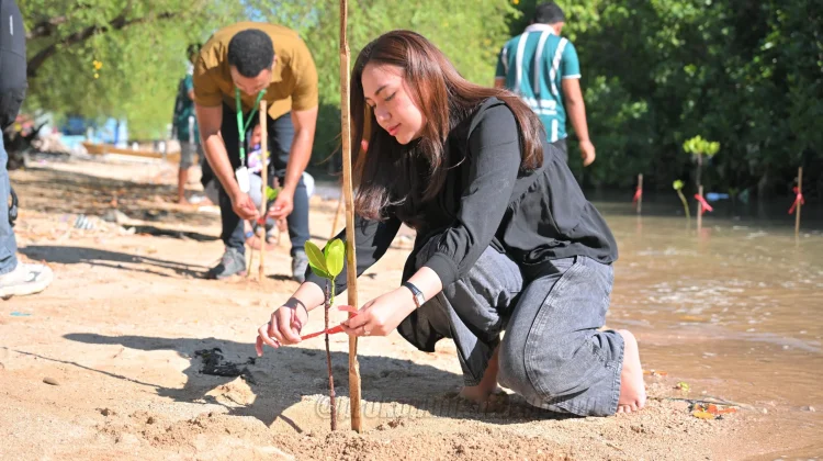 Aksi  Penanaman Mangrove  Pantai Oesapa Barat Kota Kupang