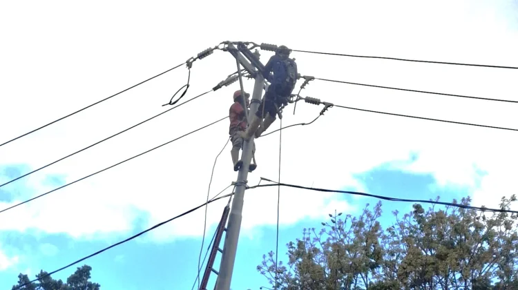 PLN Terangi Dusun Tetes di Manggarai Timur Berikan Pelayanan Listrik Merata