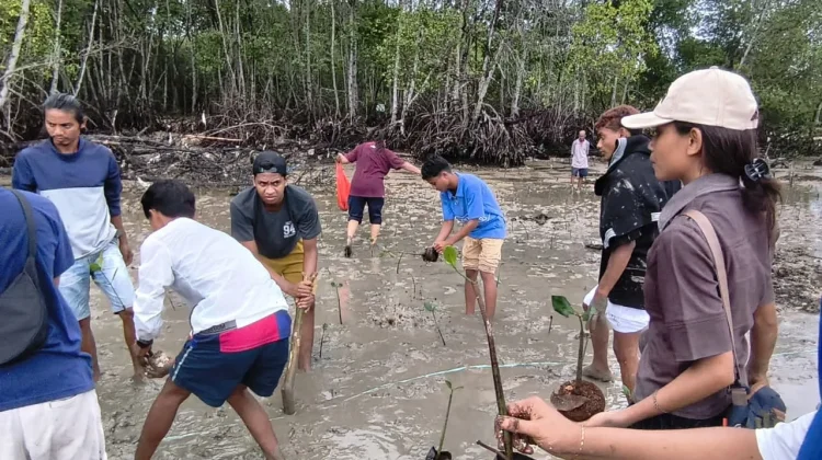 Upaya Pembersihan Pesisir oleh PPA Bersifat Insidental