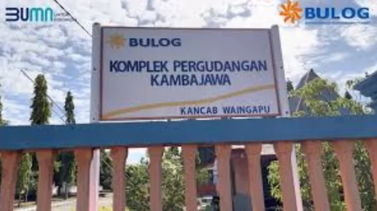 Bulog Waingapu Serap Beras Petani Sumba Timur hingga 105 Persen dari Target