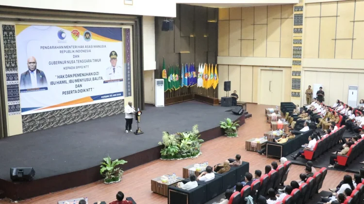 Menteri HAM: Penguatan MBG Penuhi Hak Dasar, Investasi Masa Depan Indonesia