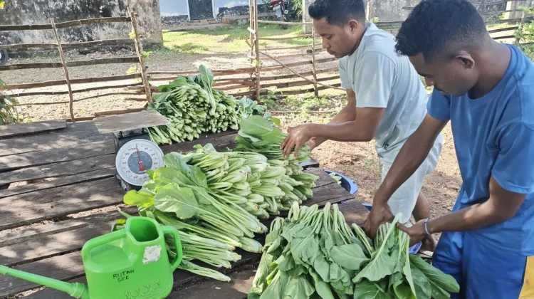 Warga Binaan Rutan SoE Buktikan Produktivitas lewat Program SAE