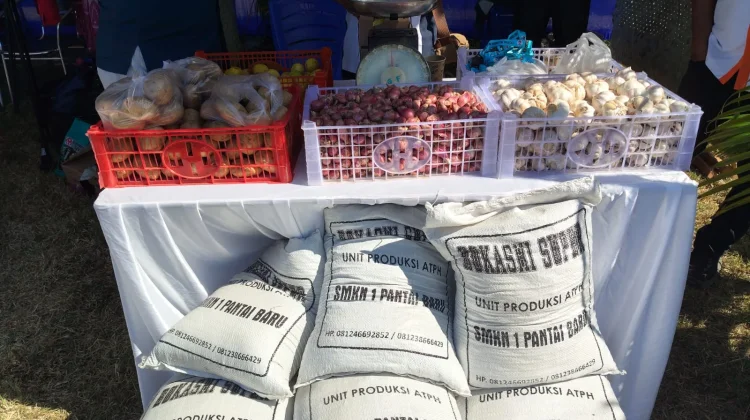 Pupuk Bokashi Jadi Produk Andalan Siswa SMK Pantai Baru