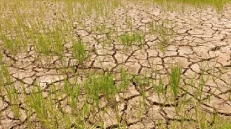 BMKG NTT Imbau Masyarakat Waspada Menghadapi Potensi Penguatan Fenomena El Niño