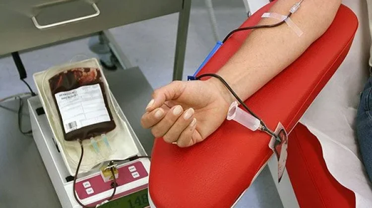 Hari Donor Darah Sedunia, Perkuat Solidaritas Kemanusiaan