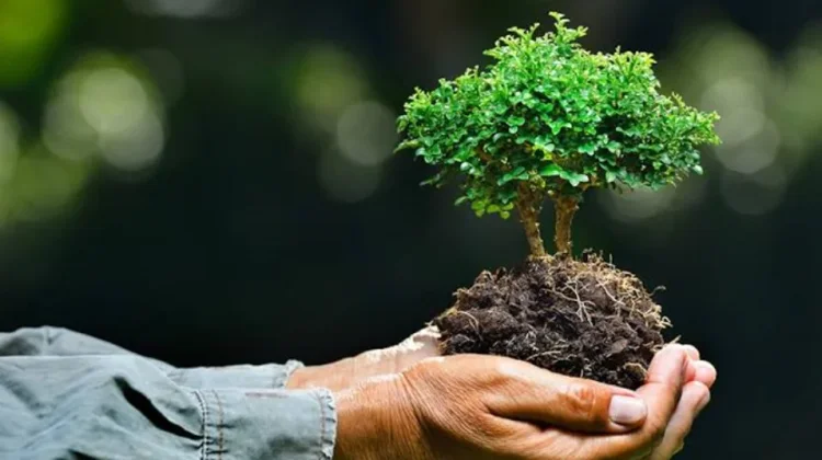 Hadapi Krisis Air dan Perubahan Iklim, Kemenag NTT Dorong Gerakan Ekoteologi