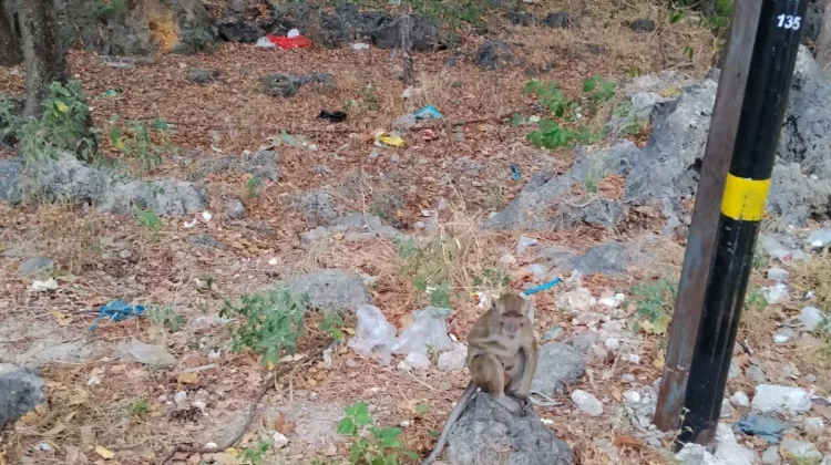 Sampah Berserakan Rusak Pesona Wisata Gua Monyet Kupang