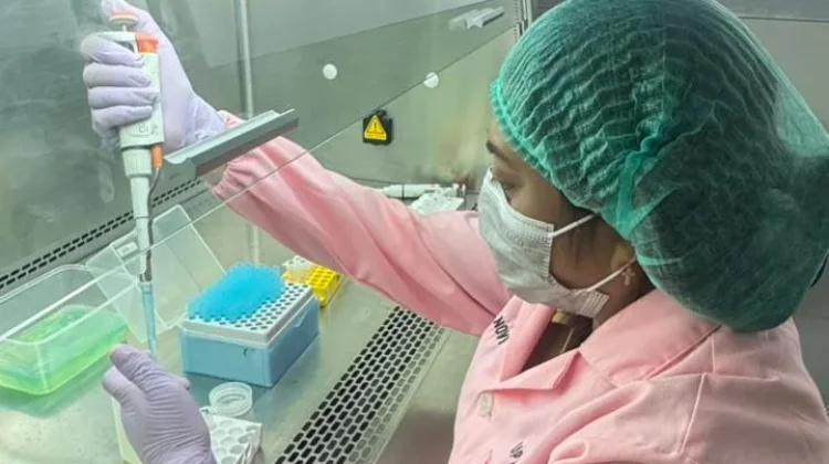 Sektor Peternakan Melimpah, Ini Peran Strategis Dokter Hewan NTT