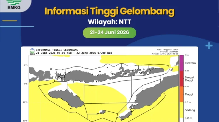 Peringatan Dini BMKG, Gelombang Laut Sedang Melanda Perairan Rote