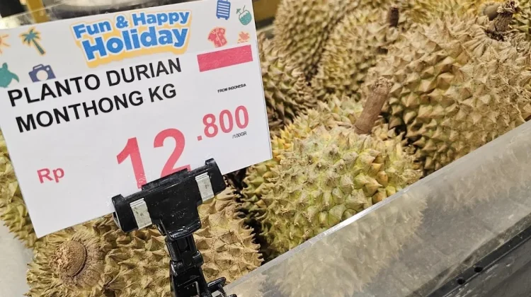 Usman Husin Salurkan Bibit Durian Bernilai Ekonomi Tinggi