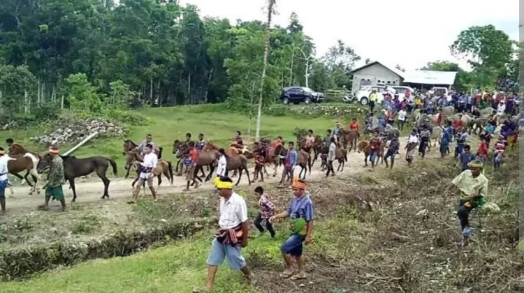 Perempuan Sumba dan Martabat Keluarga dalam Adat Belis