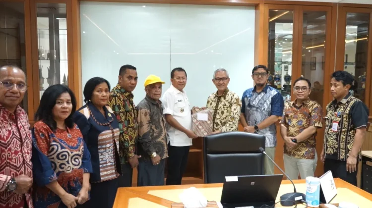 Kemenkeu Siap Bantu Kupang Atasi Keterbatasan Anggaran P3K Kabupaten Kupang