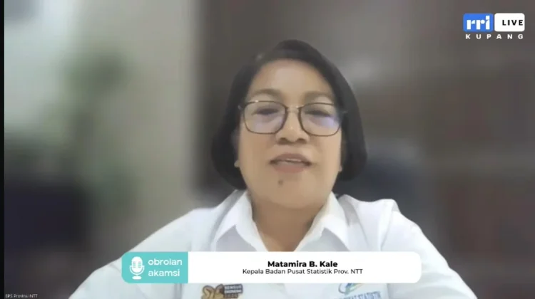 Sensus Ekonomi 2026: Data UMKM Jadi Panduan Strategis Investor Masuk ke NTT