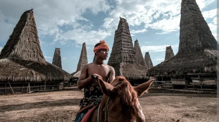 Budaya Sumba di Mata Dunia: Dari Tradisi Lokal Menjadi Warisan Global