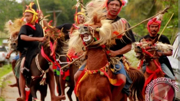 Filosofi Kuda dalam Kehidupan Sosial Masyarakat Sumba