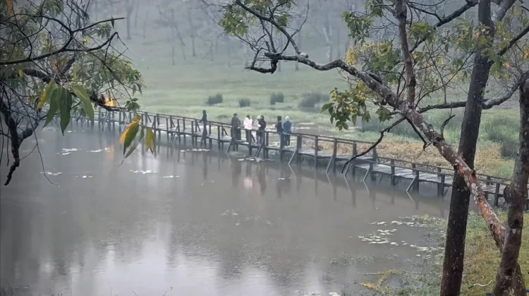 Kabut Mutis dan Pesona Danau Nefokaenka, Obat Pelepas Penat dari Panasnya Kota
