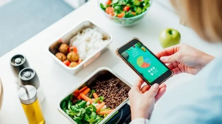 3 Pilihan Menu Bekal Makan Siang untuk ke  Kantor