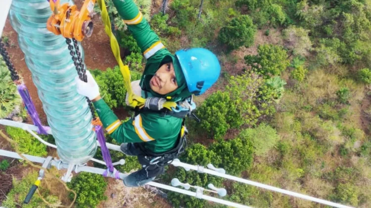 PLN Gerak Cepat Tangani Anomali Isolator di Transmisi Panaf-Bolok
