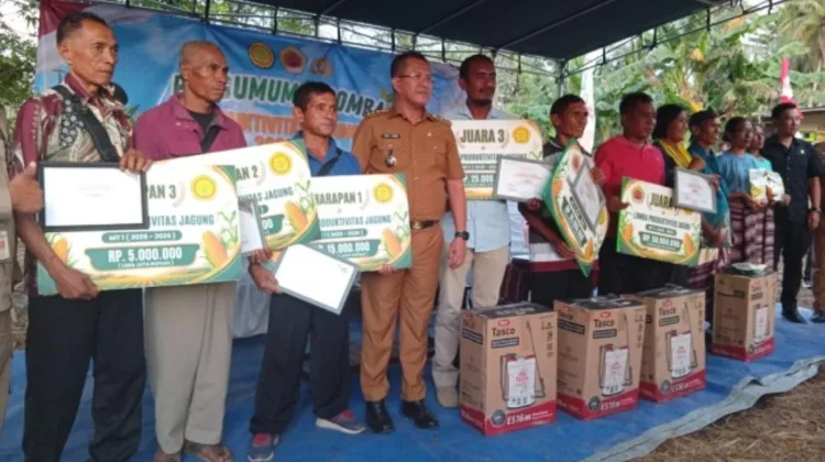 Bupati Kupang Dorong Petani Tingkatkan Produktivitas Jagung