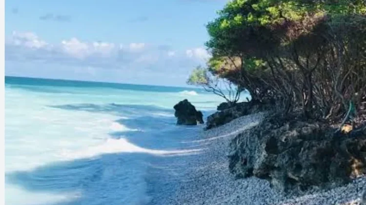 Pantai Oebon Muncul Sebagai Magnet Wisata Baru TTS
