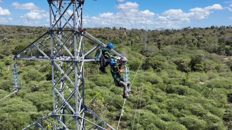 Kisah Teknisi PLN: Panen Isolator di Tower 86 Kupang Demi Listrik 70 kV Tetap Andal