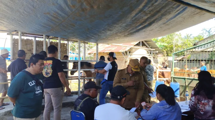 Pacuan Kuda Bupati Cup Semarakkan HUT RI Ke-81 Sumba Barat