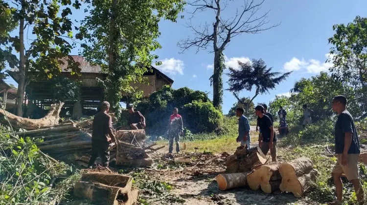 Babinsa Koramil Loli Gelar Kerja Bakti Bersama Warga Bersihkan Pohon Tumbang.