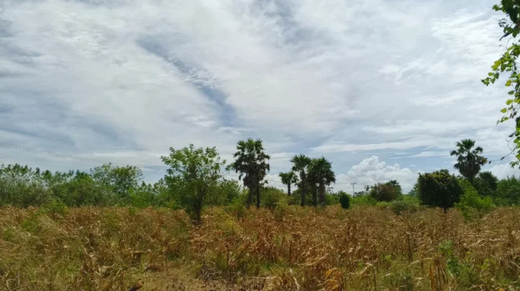BMKG: Hari tanpa Hujan di NTT Capai Kategori Sangat Panjang