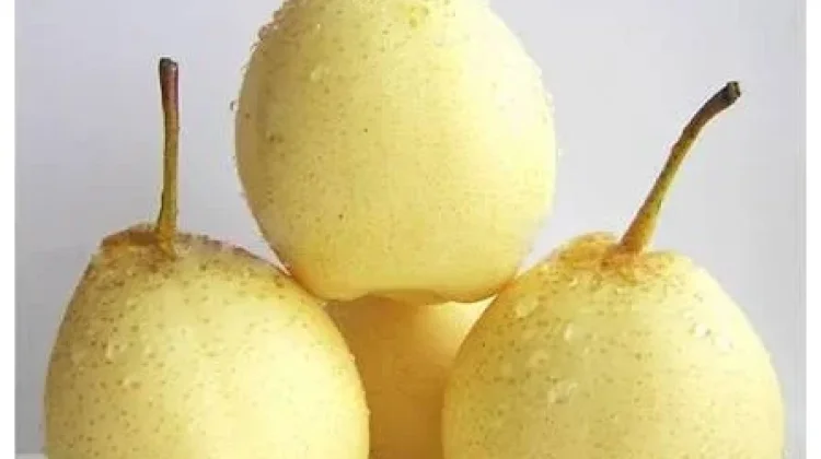 Buah-Buah yang aman untuk penderita Gula